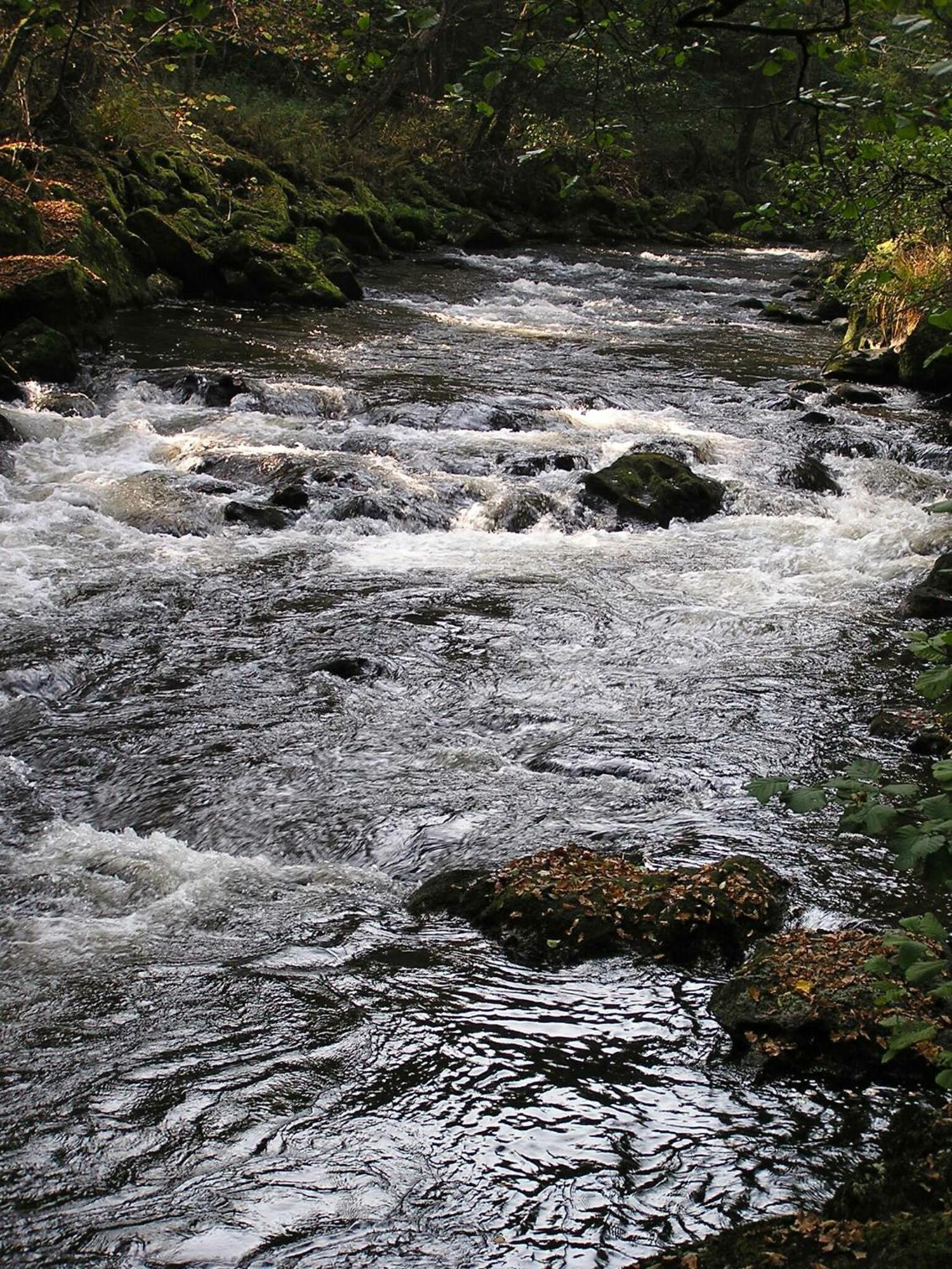 Landgasthof Euler Neuschonau Bagian luar foto